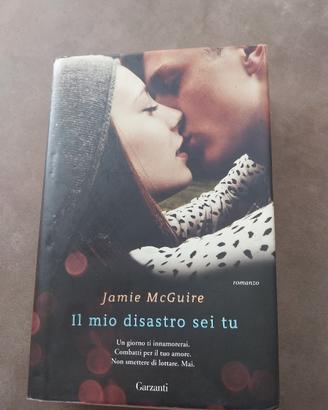 libro Il mio disastro sei tu 