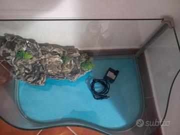 Piccolo acquario