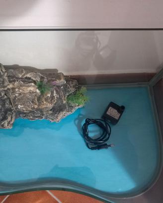 Piccolo acquario