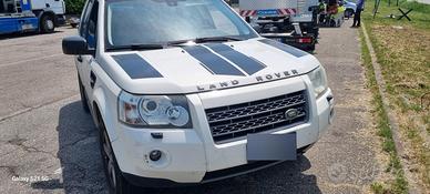 freelander 
