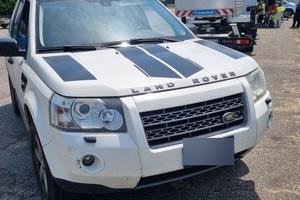 freelander 