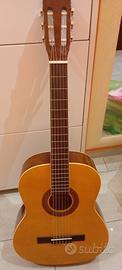 chitarra eko