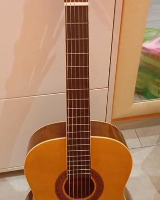 chitarra eko