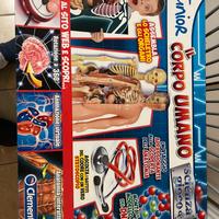 Il corpo umano “Clementoni”