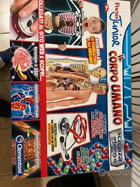 Il corpo umano “Clementoni”