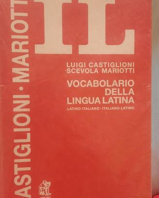 Dizionario IL di Castiglione mariotti