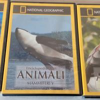DVD NATIONAL GEOGRAPHIC  ANIMALI