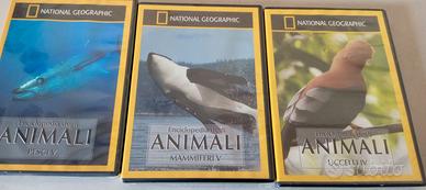 DVD NATIONAL GEOGRAPHIC  ANIMALI