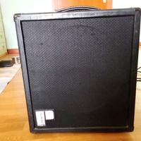 Amplificatore Polythone Mini-Brute