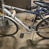 city bike Pegasus uomo