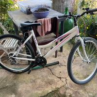 bicicletta