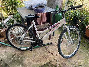 bicicletta
