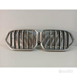 BMW X6 G06 Griglia del radiatore / Griglia satinat