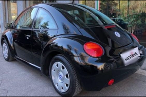 New beetle