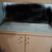  Acquario 200 L pesci animali 