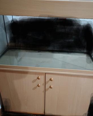  Acquario 200 L pesci animali 