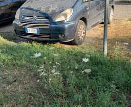 Xara picasso