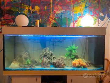 Acquario