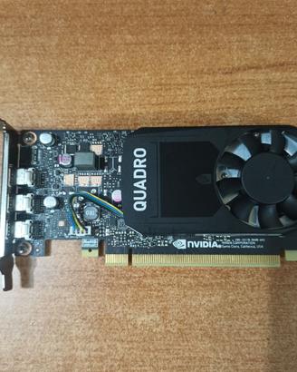 Scheda grafica NVIDIA QUADRO P400