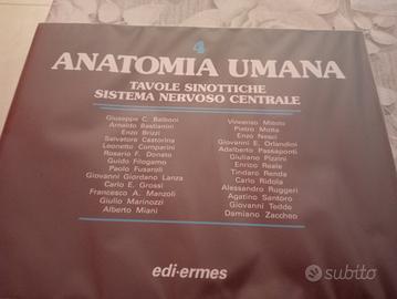 libri anatomia umana 