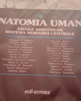 libri anatomia umana 