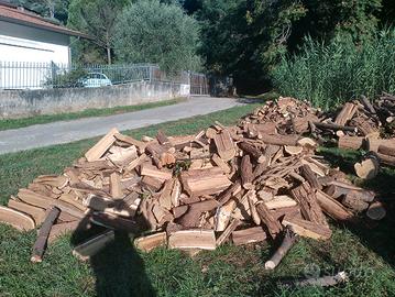 legna da ardere di montagna-qualita superiore-