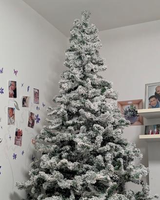 albero di natale 