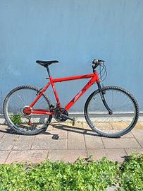 bicicletta 