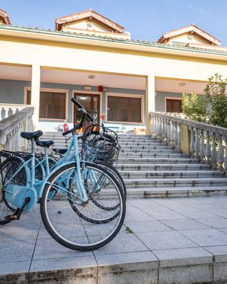 Lotto di 15 biciclette azzurre - cerchio 26