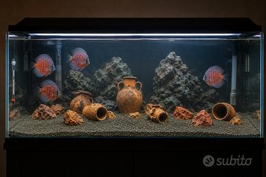 Acquario completo 80×50×42h (~165L) con mobile