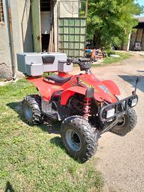 Quad Polaris Scrambler 