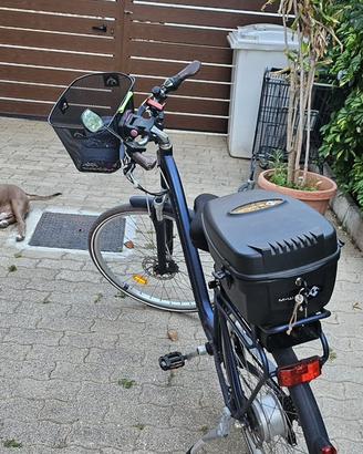 Bici elettrica