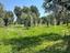 Immagine 15