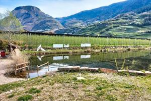 RGE 13/2025 - Tribunale di Bolzano