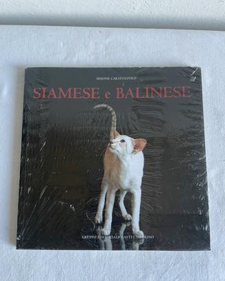 NUOVO! Siamese e Balinese - Simone Caratozzolo