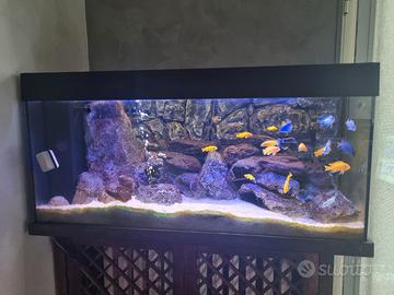 acquario juwel 180 con sfondo 3D