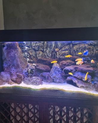 acquario juwel 180 con sfondo 3D
