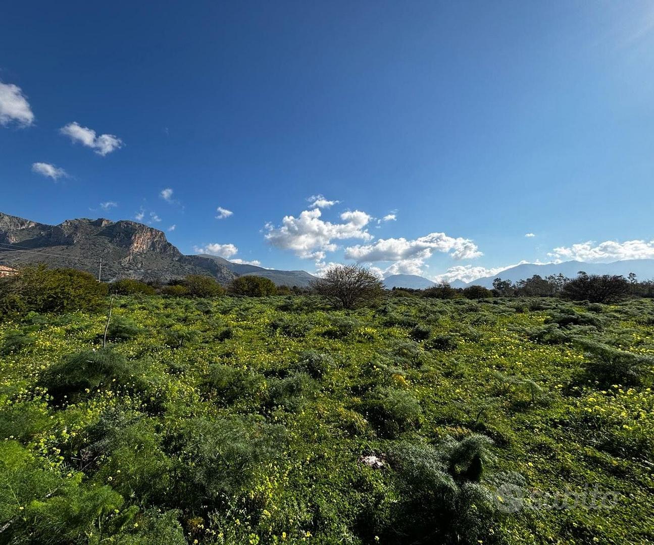 Terreno, Terrasini. - Vista 2