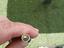 Immagine 3