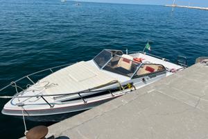 Barca a motore