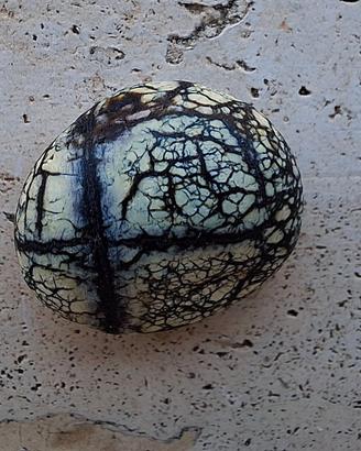 Pietra da collezione o per ciondolo/anello