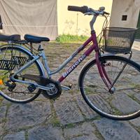 bicicletta bianchi spillo