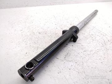 SKYTEAM MOTO V-RAPTOR 250 FODERO FORCELLA DESTRO -