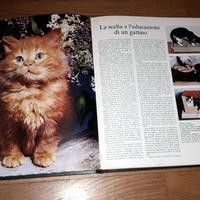 GATTI - Libro illustrato
