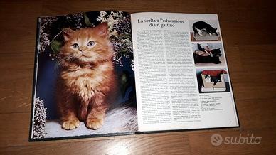 GATTI - Libro illustrato