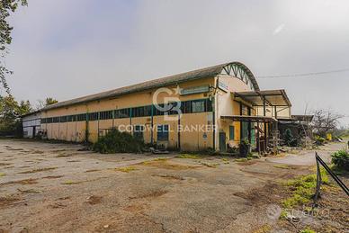 Locale commerciale - Roma