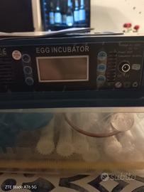 incubatrice per uova