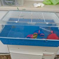 Gabbia piccoli roditori 