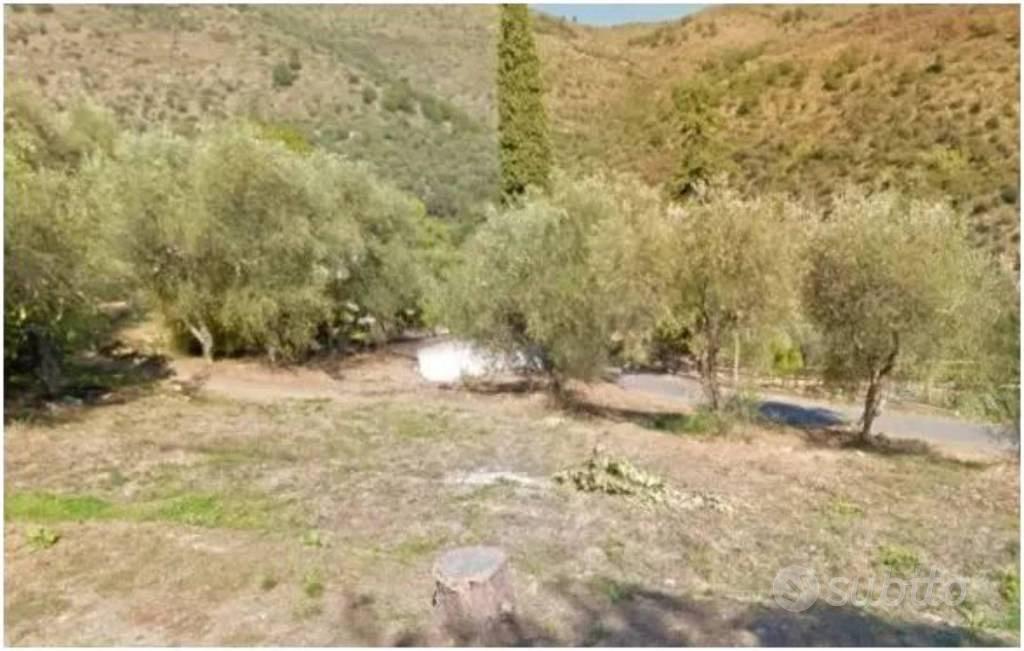 Immobile in asta di 2610 m² a Pietrabruna - Vista 3