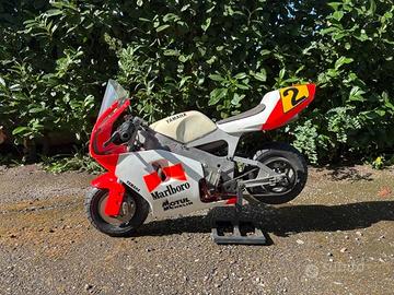 minimoto polini
